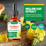 Mullein Drops for Lungs: Mullein Leaf Extract for Lungs - Breathe Freely - Lung Detox for Smokers - Mucus Relief - Mullein Leaf Extract Drops - 1 Month Supply