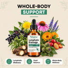 Tetyana naturals Lymphatic Drainage Drops for Bloating & De-Puff 8 Botanical Extracts with Cleavers, Dandelion & Echinacea for Lymphatic System Support & Fluid Balance, Alcohol-Free, 2 Fl Oz